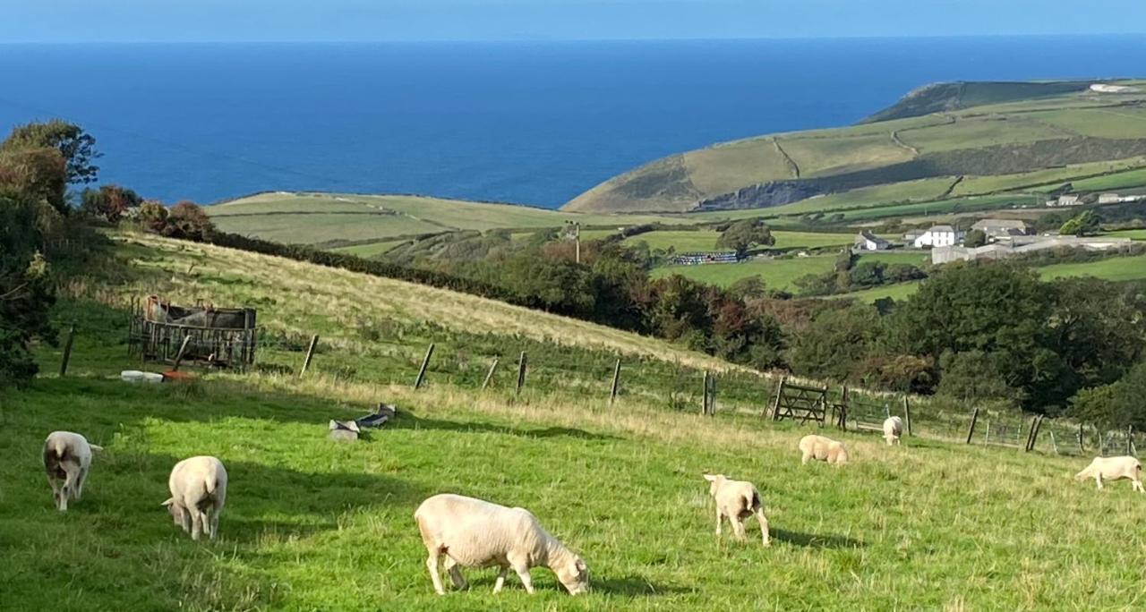 Polrunny Farm Sloe Cottage With A Sea View บอสคาสเซิล ภายนอก รูปภาพ
