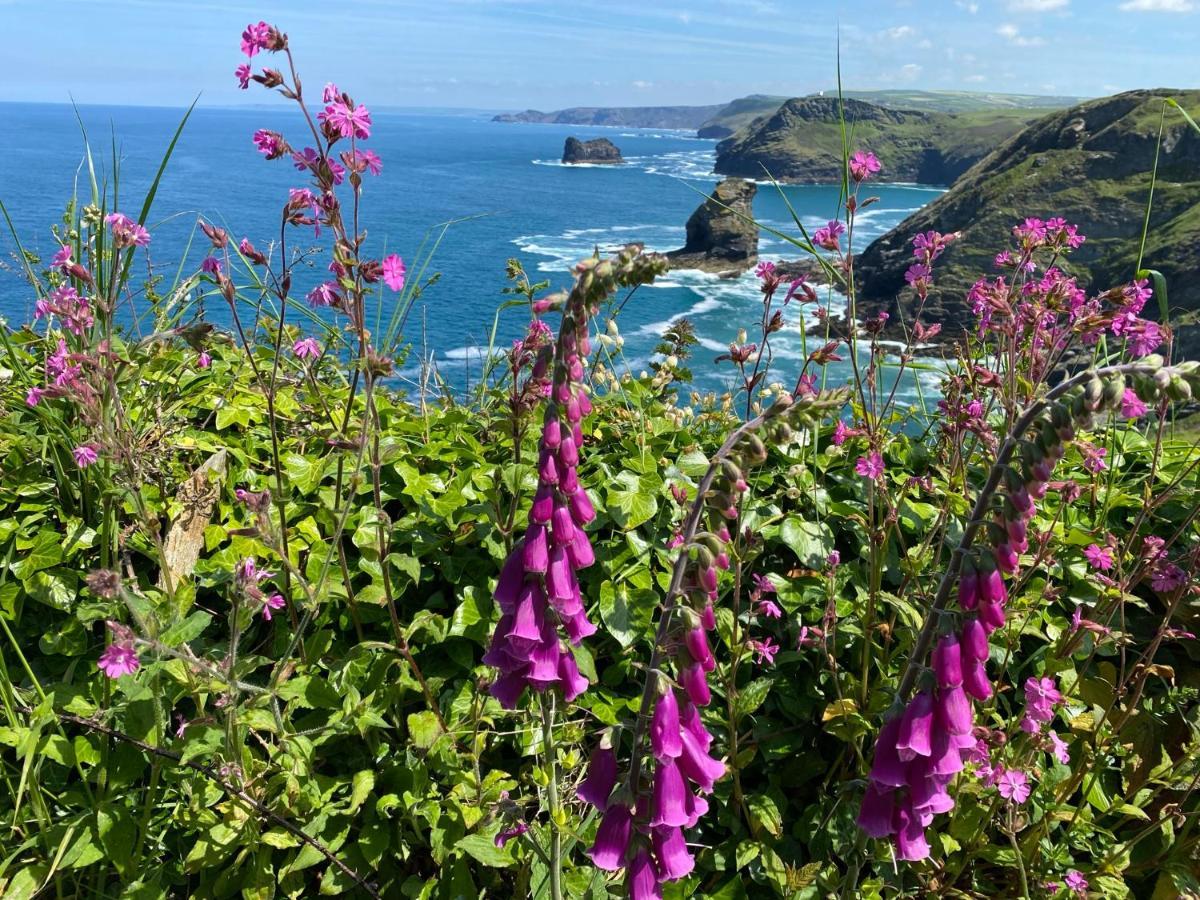 Polrunny Farm Sloe Cottage With A Sea View บอสคาสเซิล ภายนอก รูปภาพ
