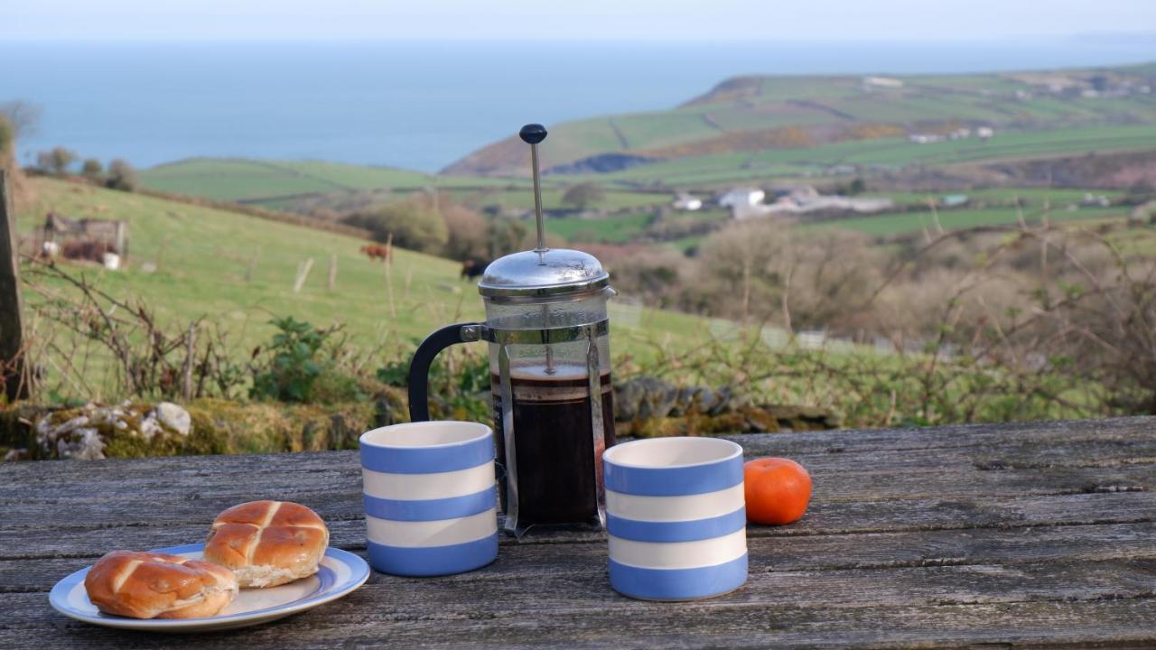 Polrunny Farm Sloe Cottage With A Sea View บอสคาสเซิล ภายนอก รูปภาพ