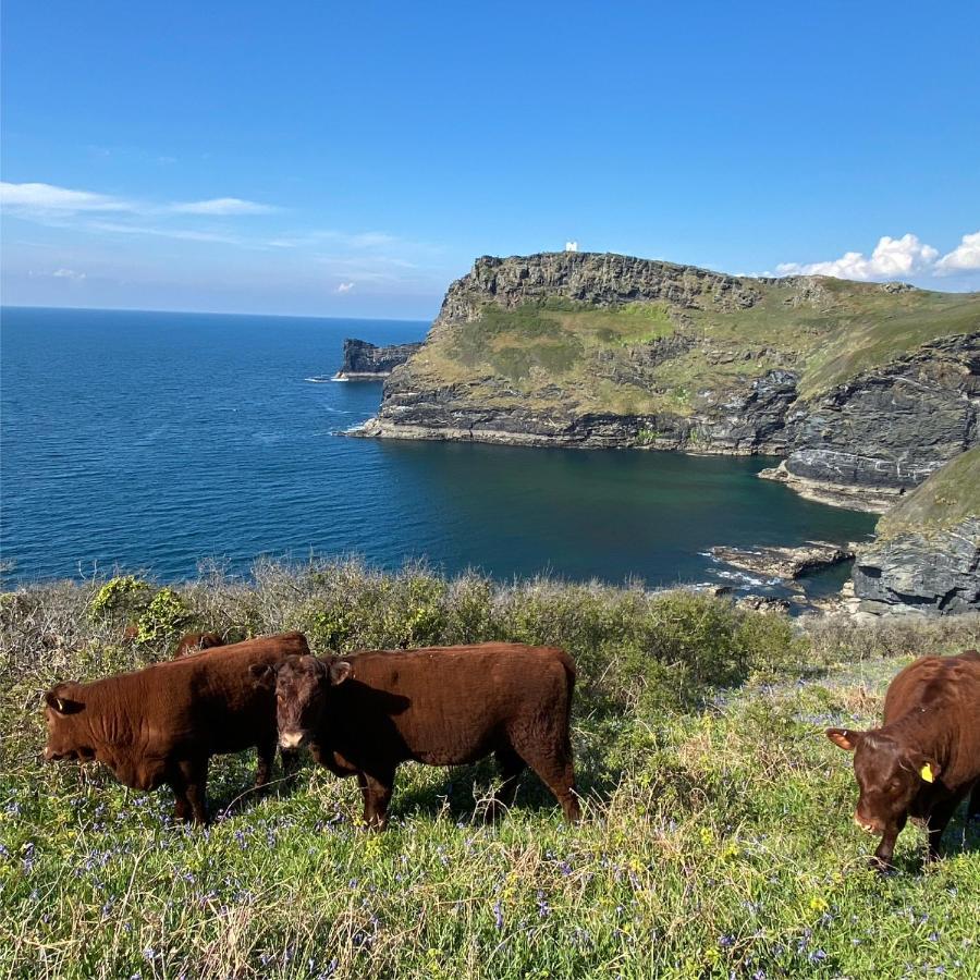 Polrunny Farm Sloe Cottage With A Sea View บอสคาสเซิล ภายนอก รูปภาพ