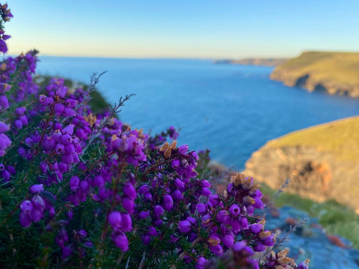 Polrunny Farm Sloe Cottage With A Sea View บอสคาสเซิล ภายนอก รูปภาพ