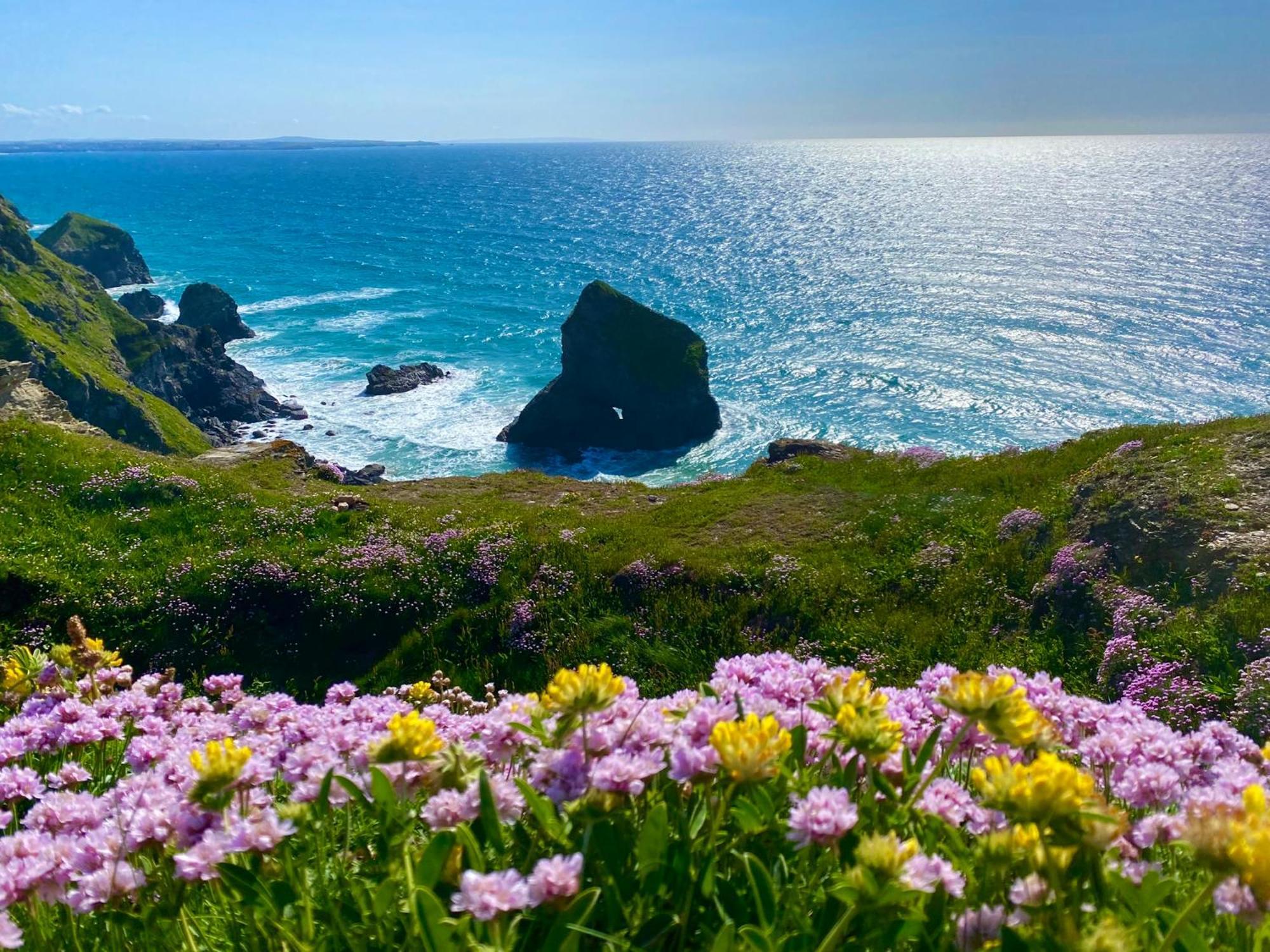 Polrunny Farm Sloe Cottage With A Sea View บอสคาสเซิล ภายนอก รูปภาพ